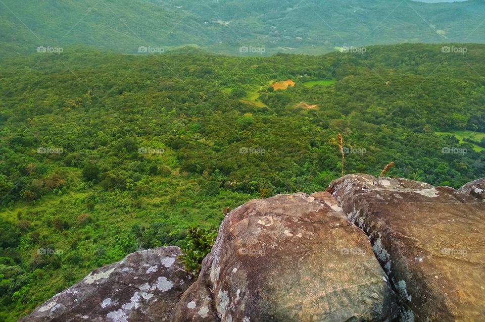 Sri lanka- Naklast mountain