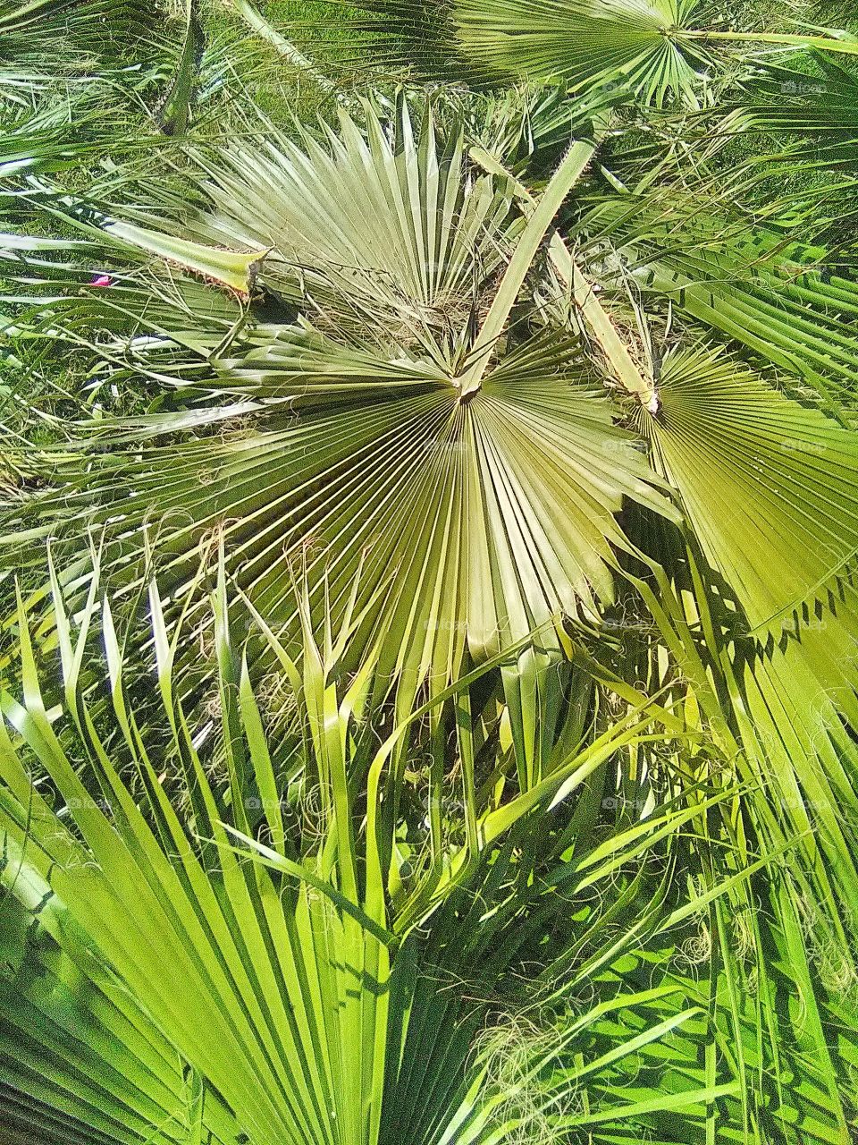 perfect imperfections