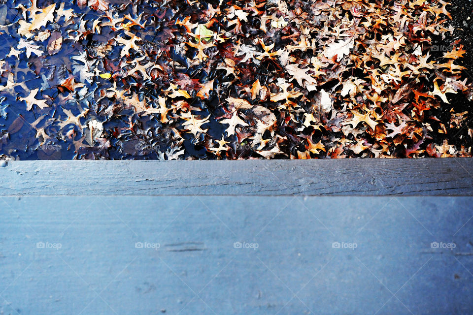 A collection of wet crisp brown leaves pool up at the bottom of a wooden staircase.