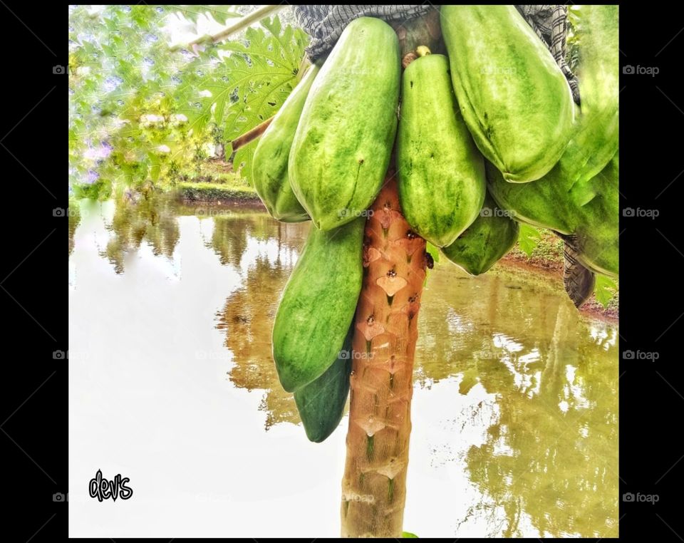 Nature always provides benefits for us