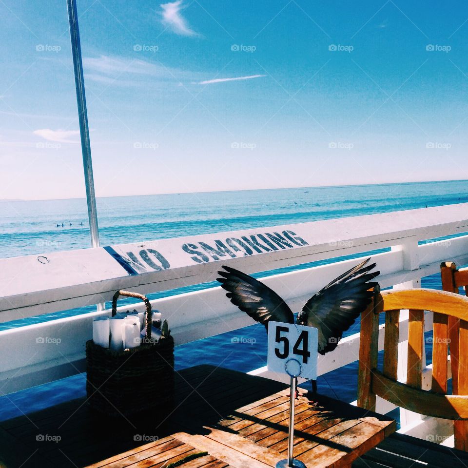 Bird in Malibu
