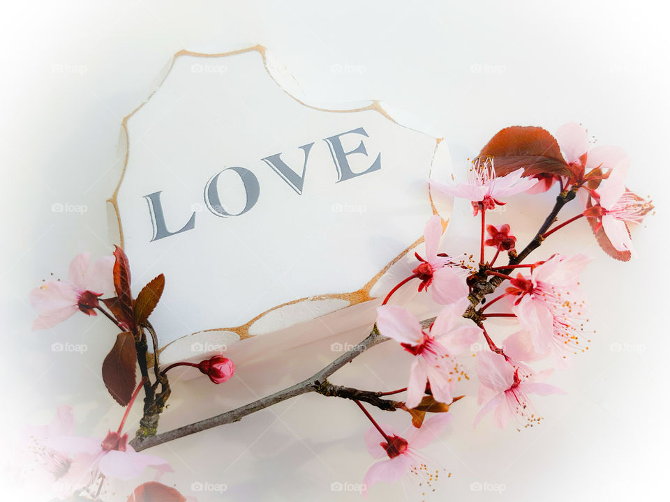 White wooden heart with the word love wrote on it, Pink blossom branch on a white background.