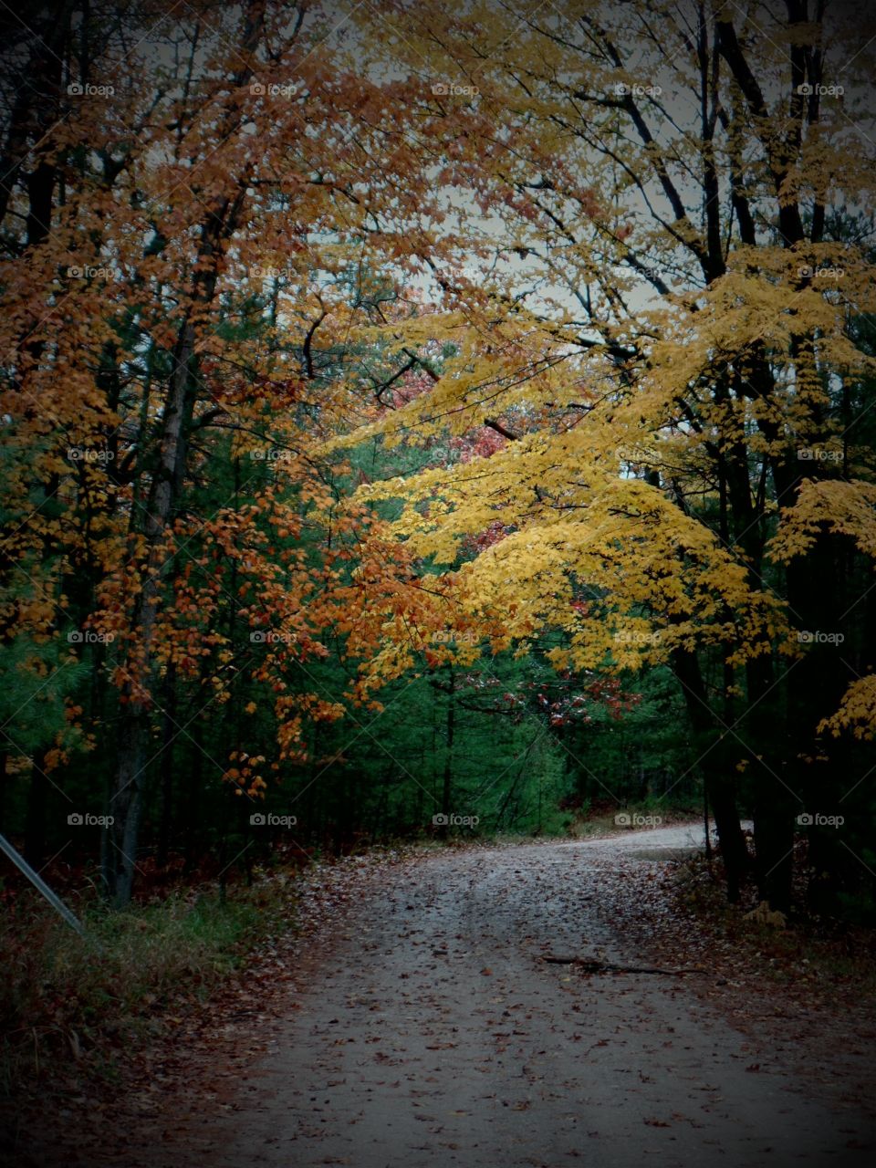 Northern Michigan 