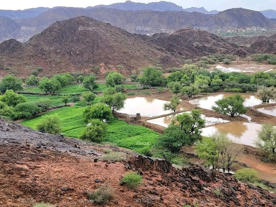 Glory be to God, the magnificent and picturesque view and the natural green trees are a view that is nothing more wonderful than it