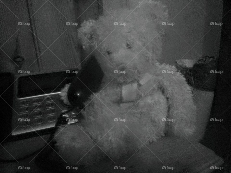 This is one of my favorite teddy bears that my child owns. We decided to try and make it look like it was using the phone and it looked best in black and white.