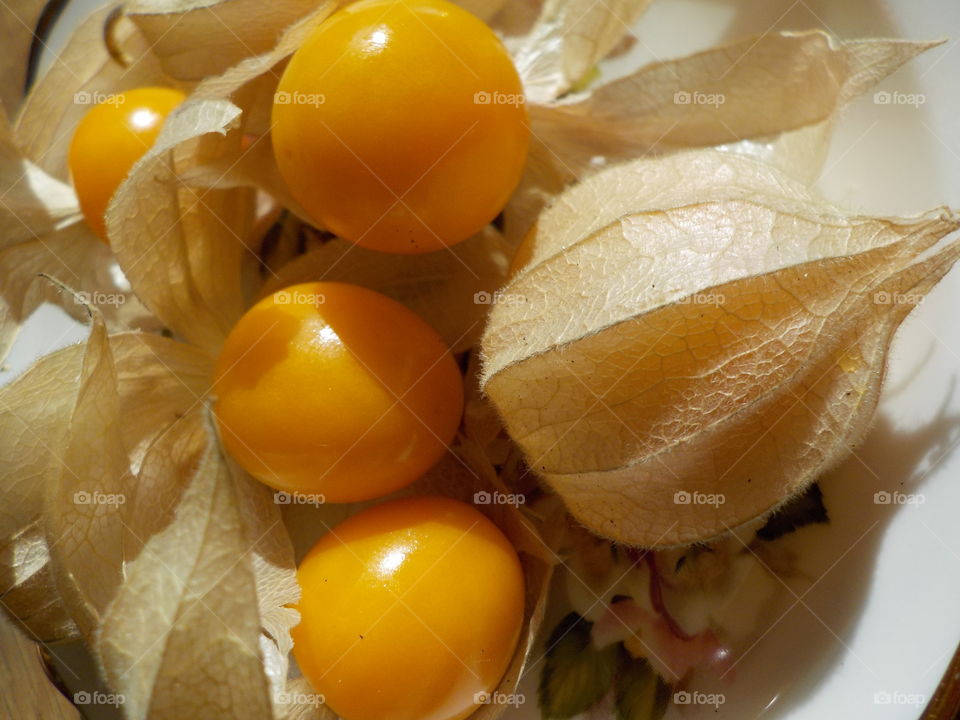 Exotic looking cape gooseberries 