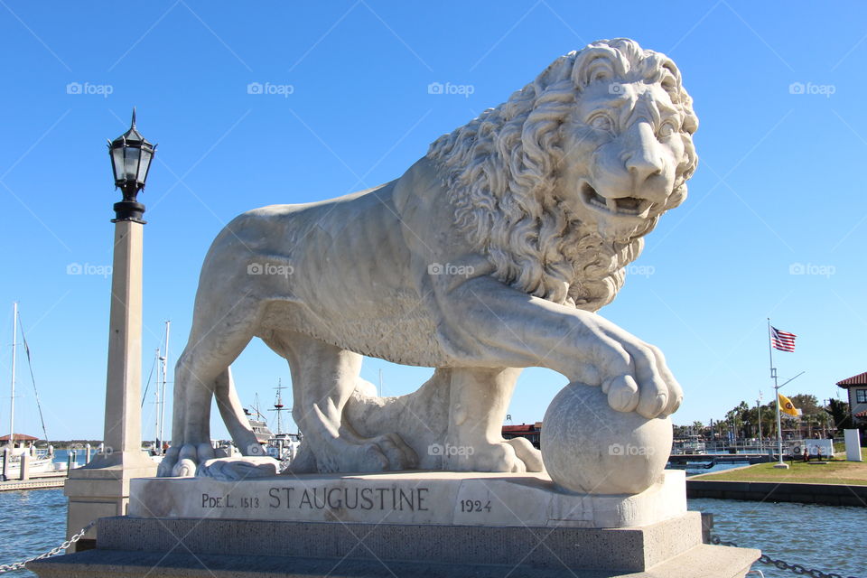 Lion of St. Augustine 