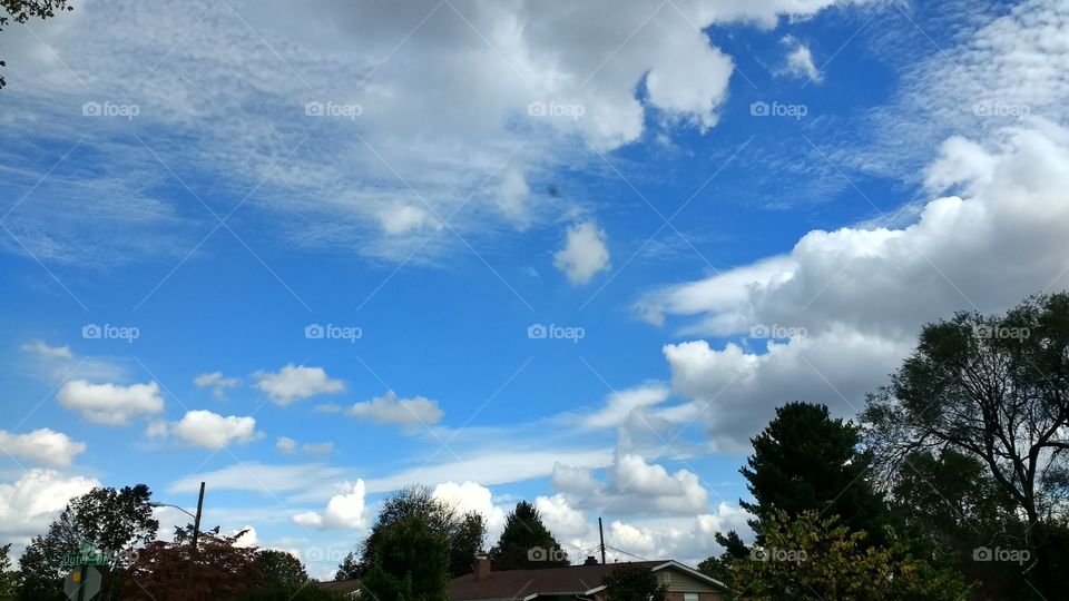 Contemplative Clouds