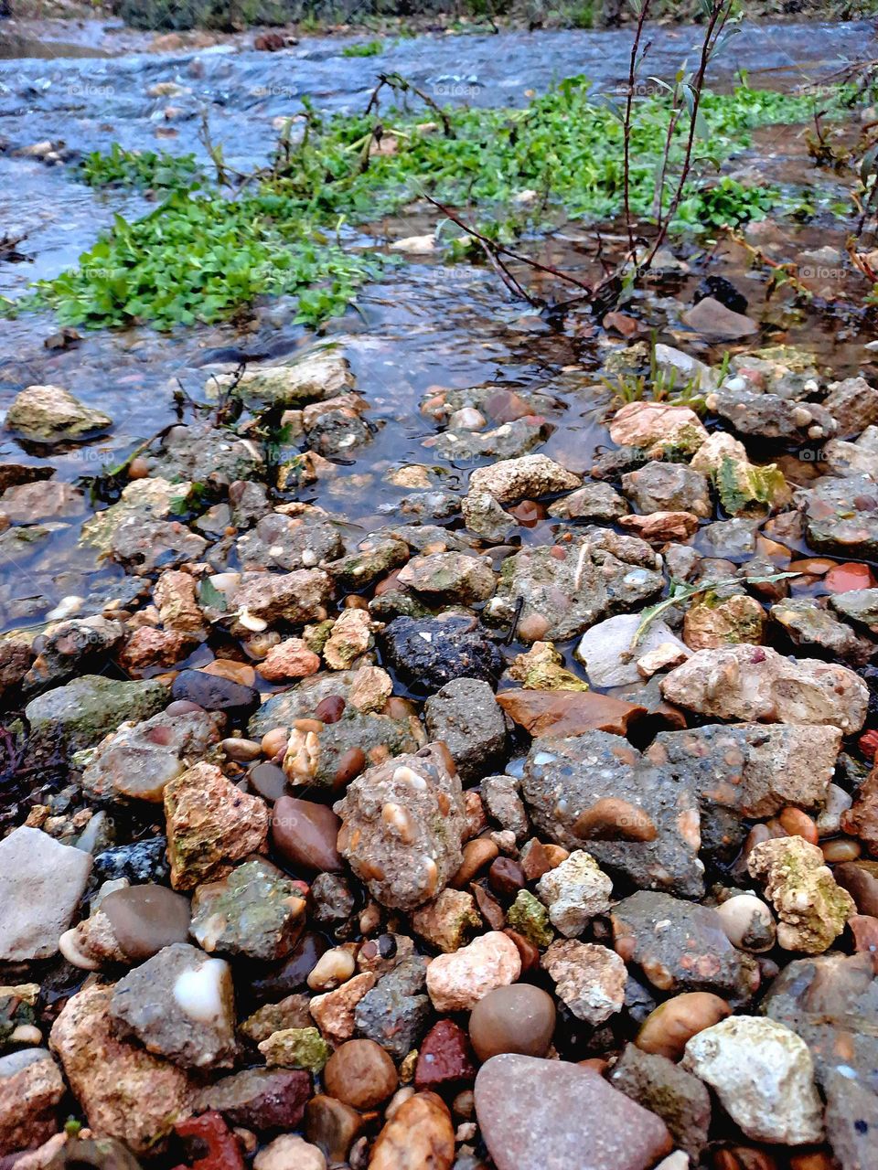 I thought that landscape was beautiful