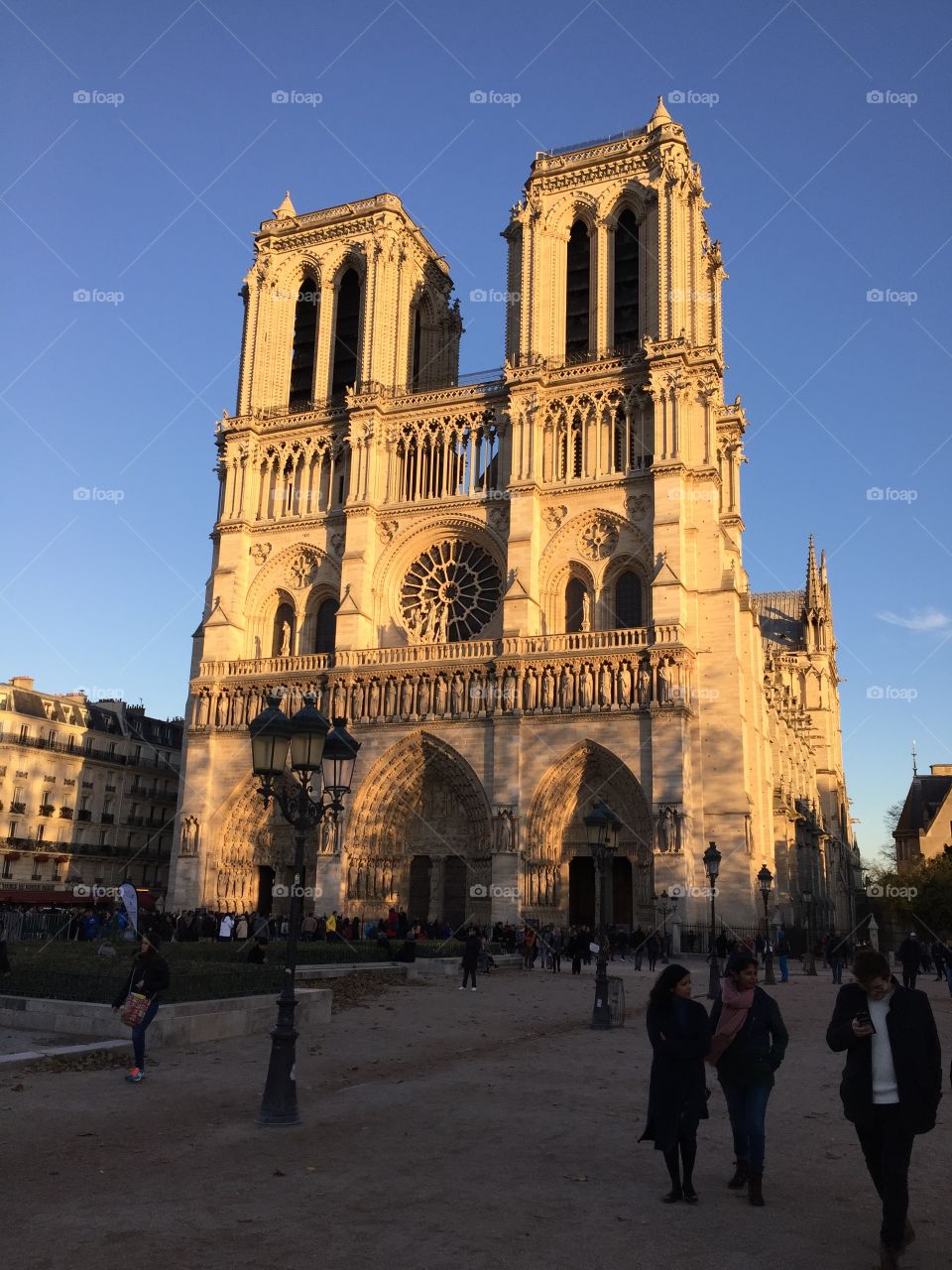 The beautiful Notre Dame de Paris.  Most famous catholic cathedral. It's one of the largest church buildings in the world. 