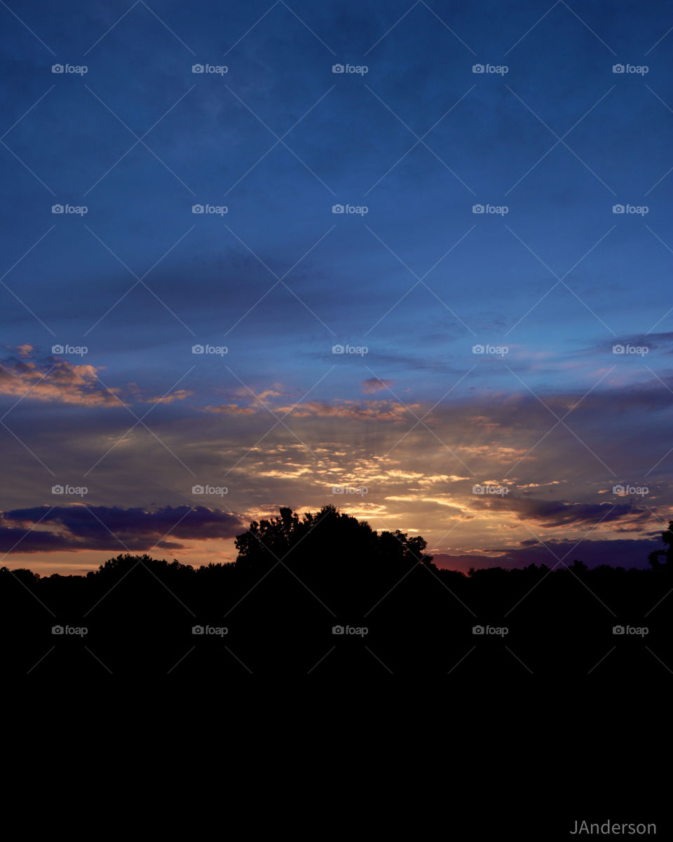 Golden sunset rays shine on passing clouds over the tree tops as day turn to night.