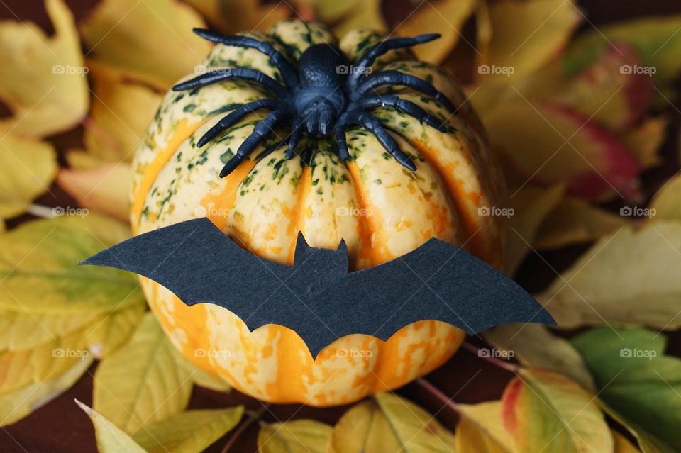 Pumpkin Halloween 