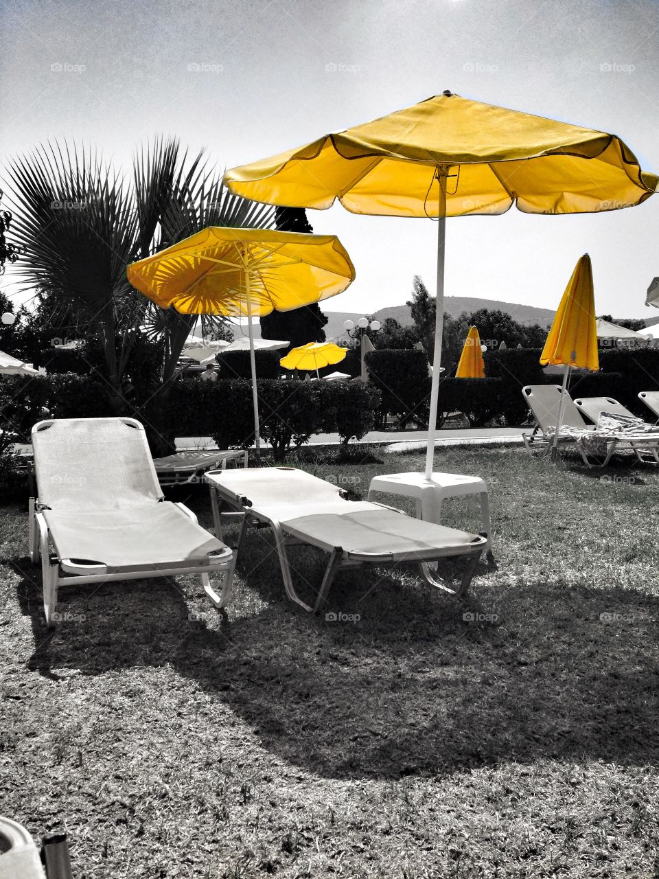 yellow umbrellas