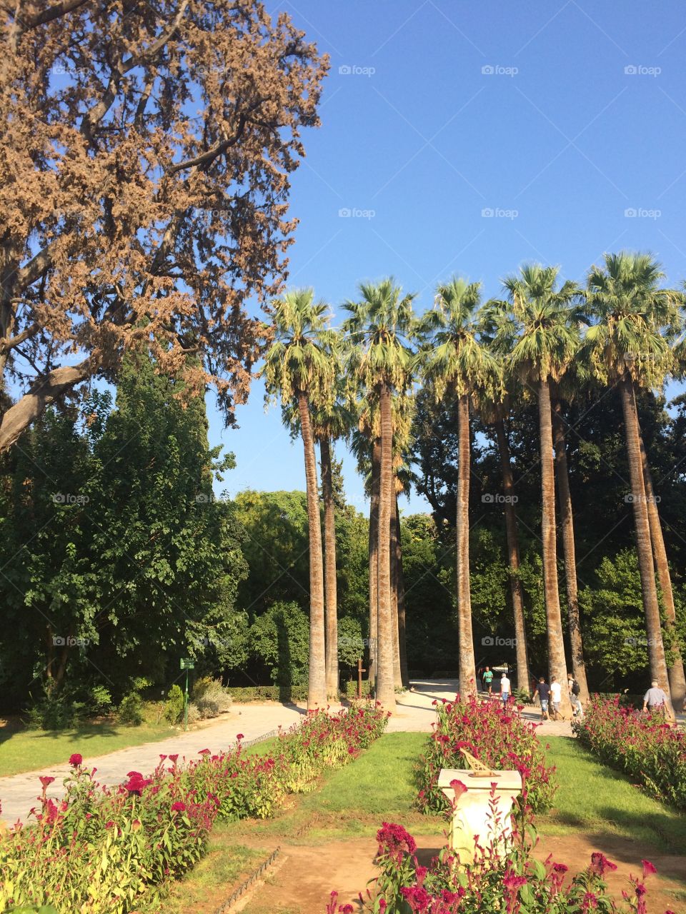 Park in Athens