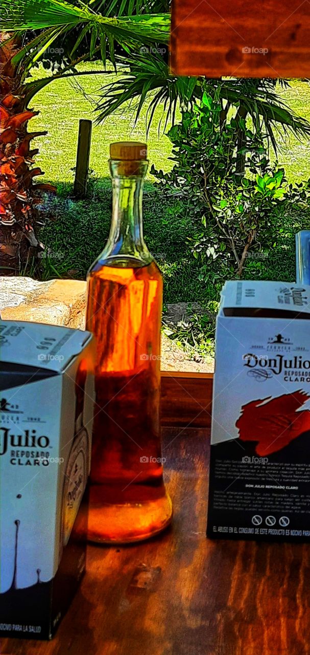 Bottle of tequila,party in the garden,party,garden,liqueur,México,landscape,colorful,wine bottle