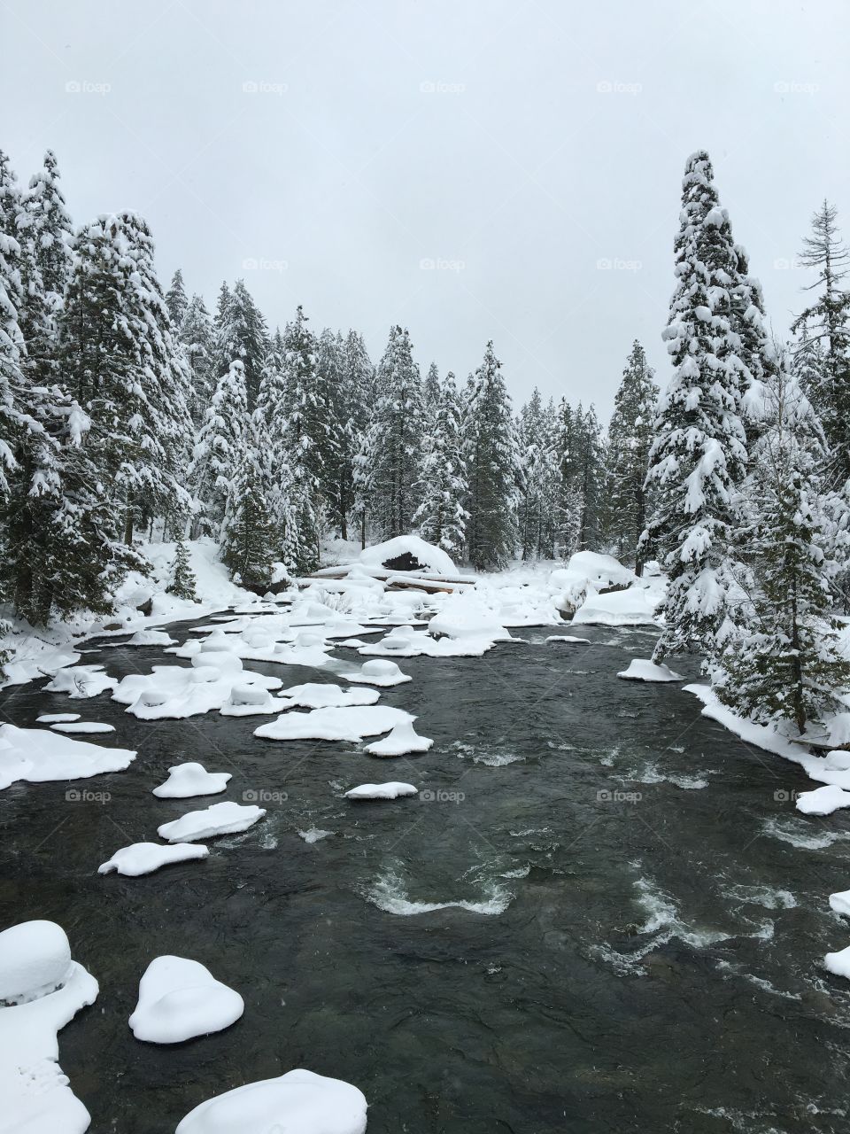 Mountain creek in winter with snow covered trees 