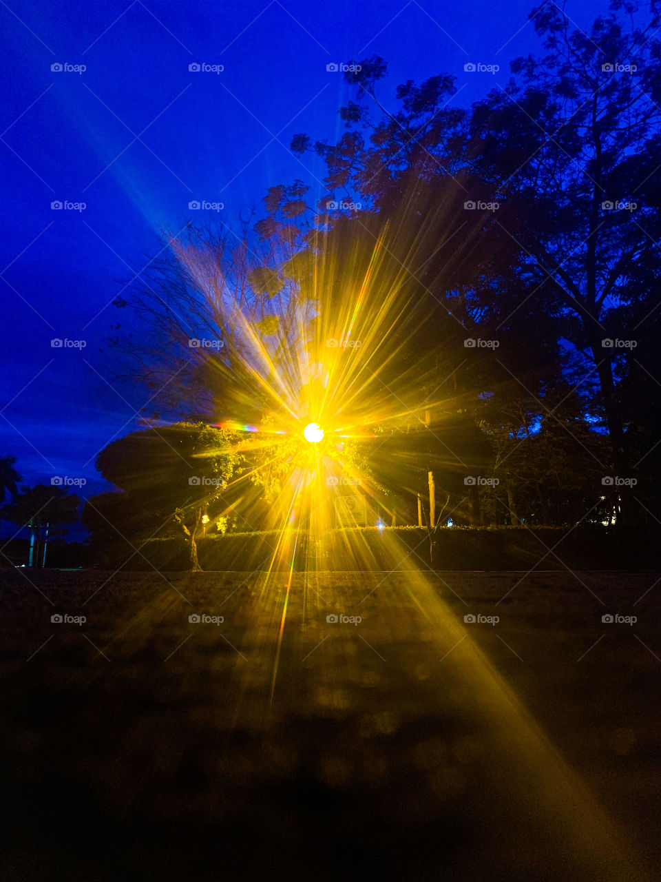 A light post in the city.