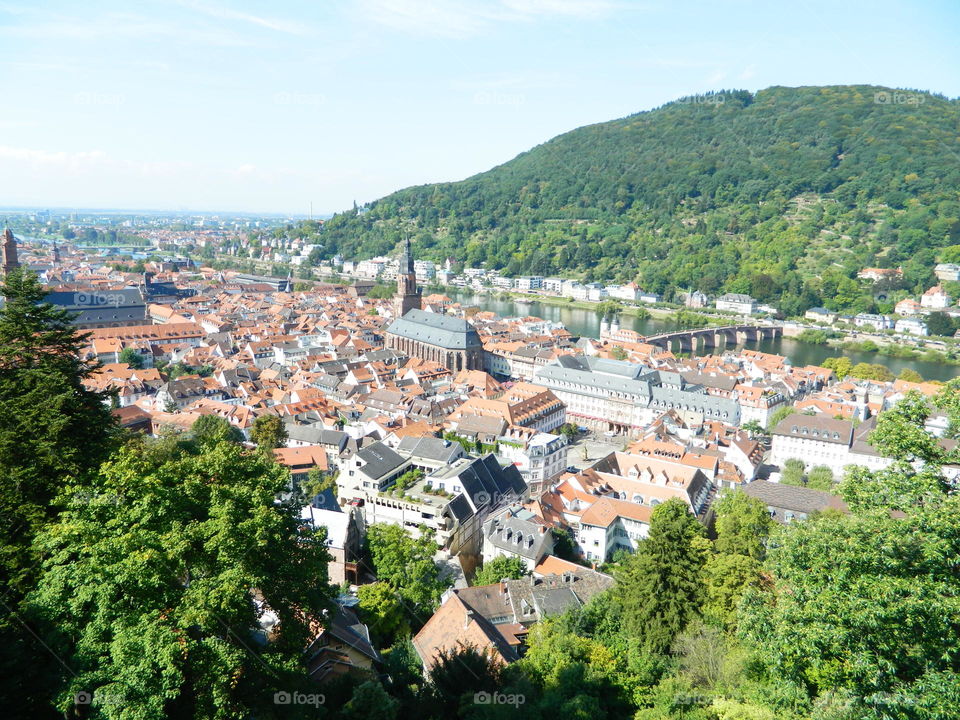 Rooftops of Heidelberg. The view of Heidelberg from the Castle.