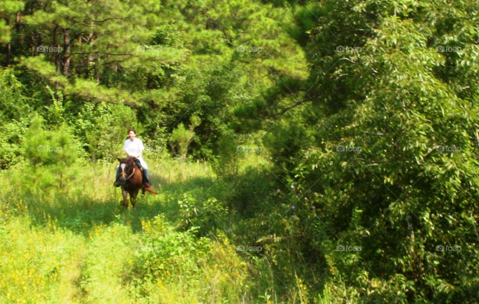 Horseback riding in Sam Houston State Park