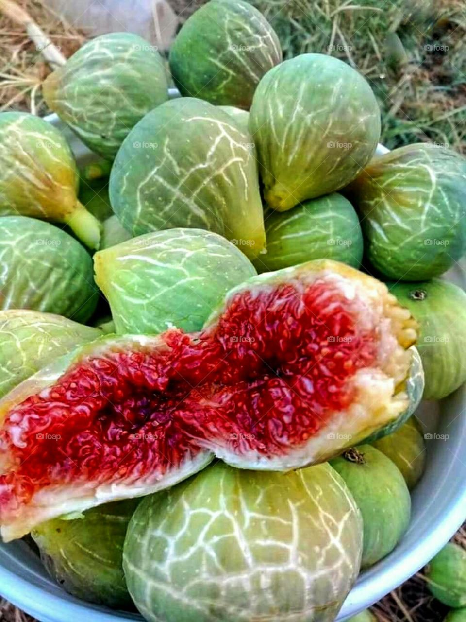 Delicious fig fruit