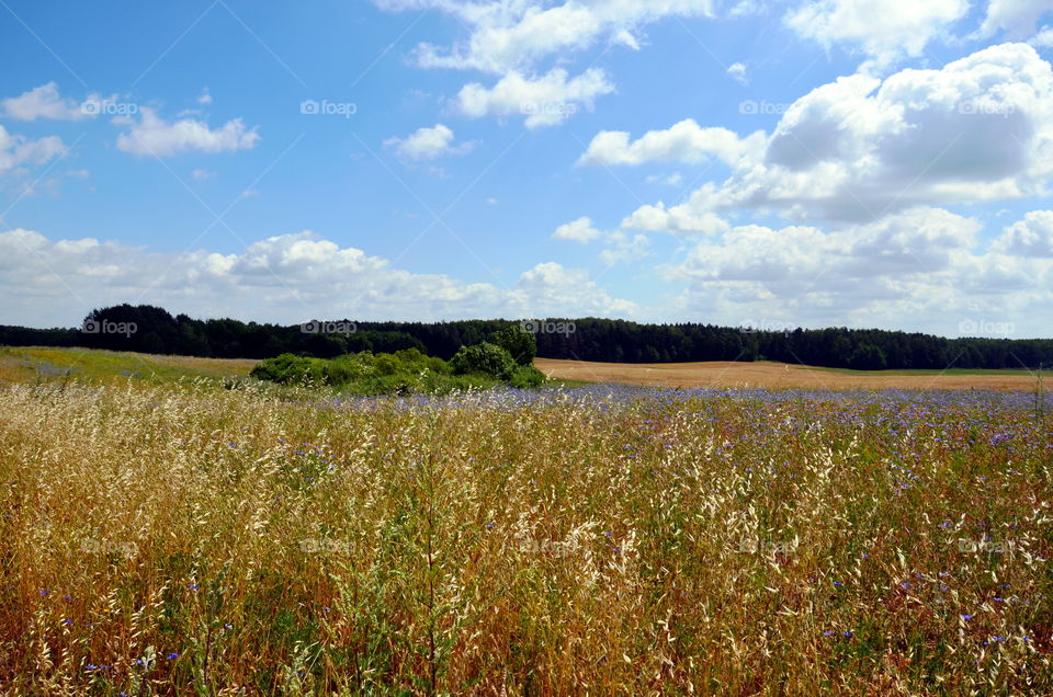 Landscape of Mazurian region in Poland