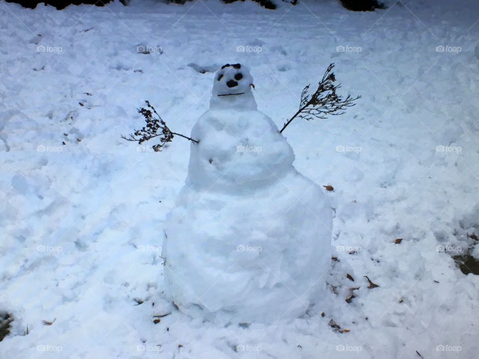 A snowman!