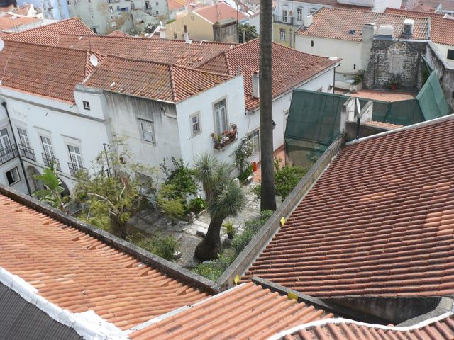 Portugal. Backyard