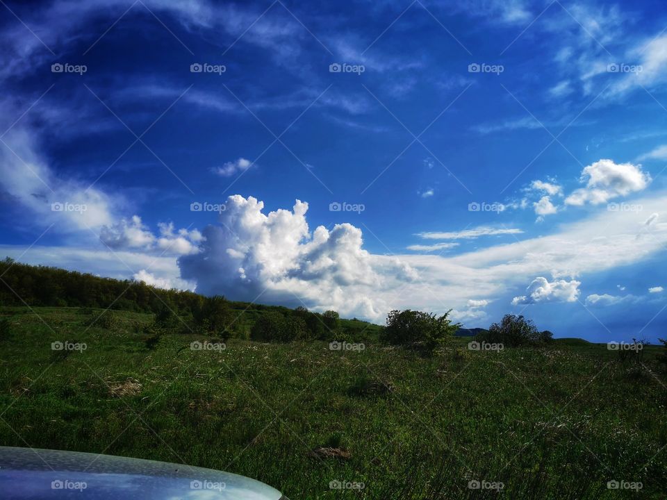 Green plant flower beauty nature greens outdoor plant flower beauty nature sky clouds moody nature