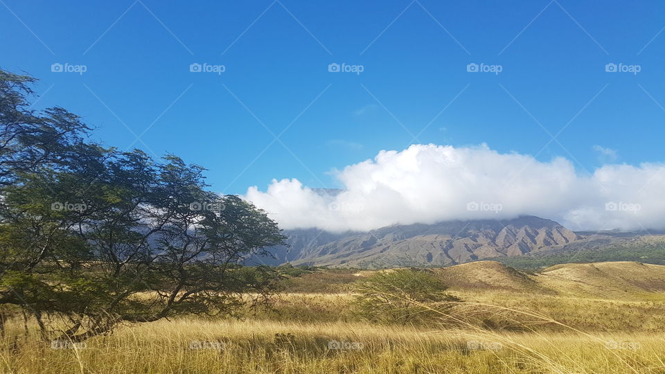 View of Haleakala volcano in the sunny afternoon, Hawai'i, USA