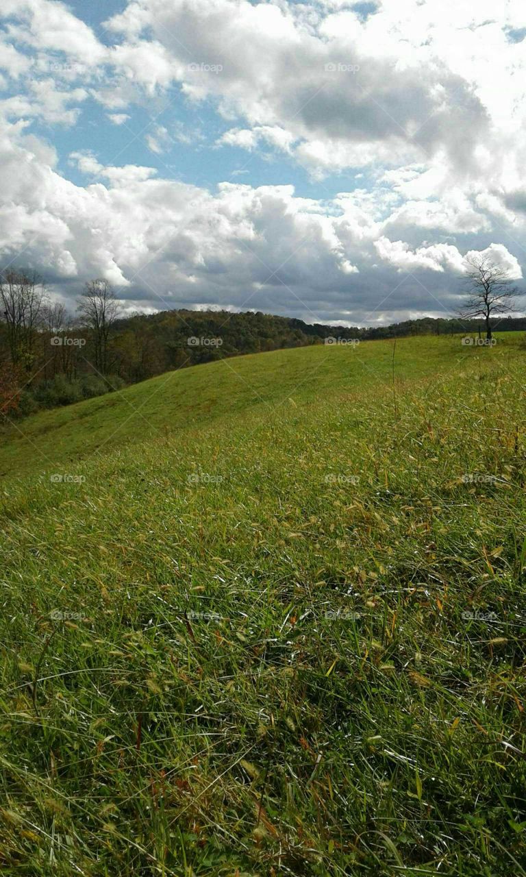 Clouds In The Fall