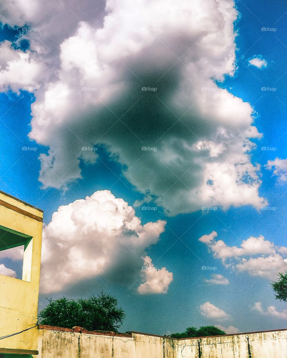 the white colour stories