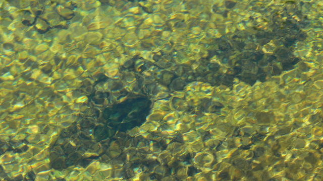 Wasser