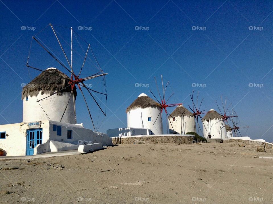 White and blue cattails in Mykonos, Greece