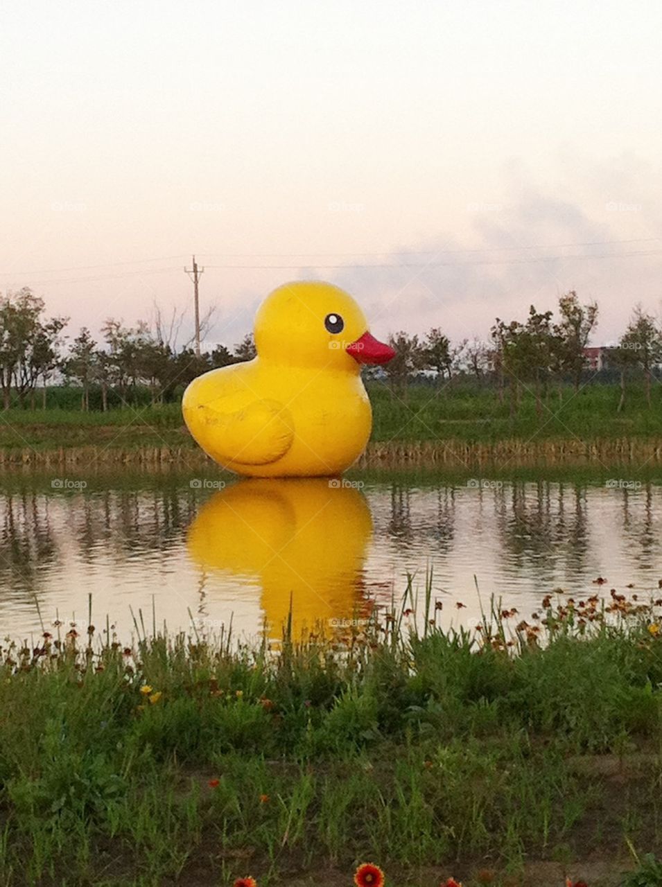 park yellow river duck by simplyhoney