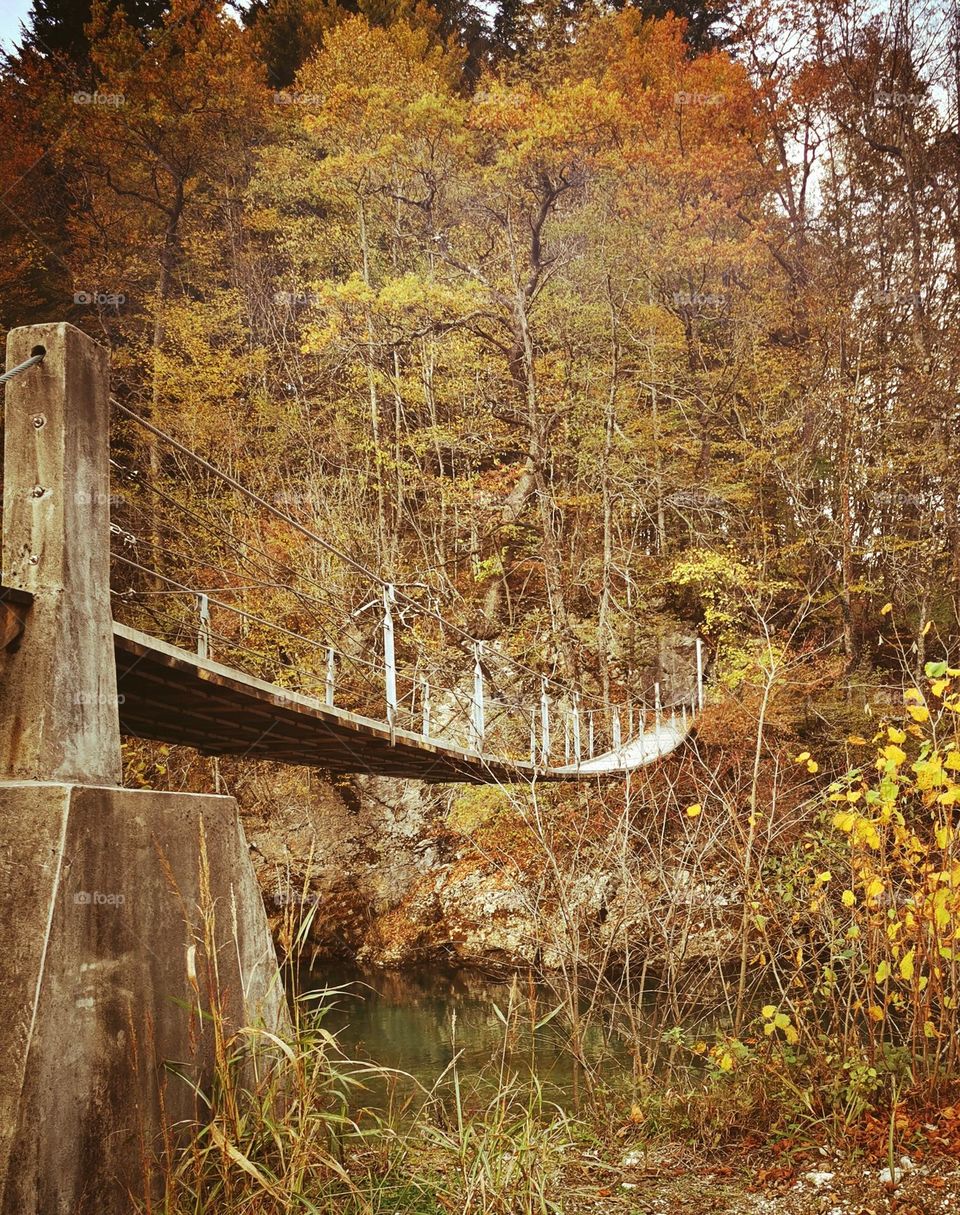 Over the water. Autumn walk