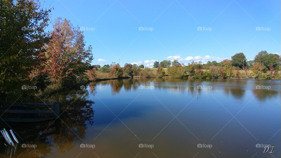 Water, Reflection, Lake, Tree, Nature
