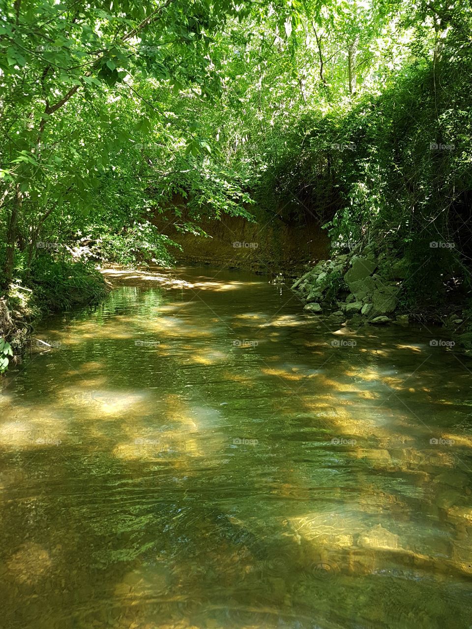 Dappled sunlight filtering through green leaves onto creek with flowing water over Brown rocks