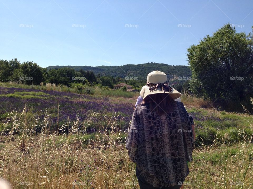 field france lacoste lavander field by ivanrossi