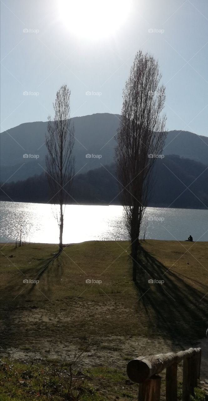 The lake, the sun and the trees
