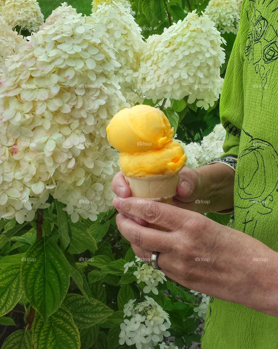 Hands Holding Ice Cream. Go Mango