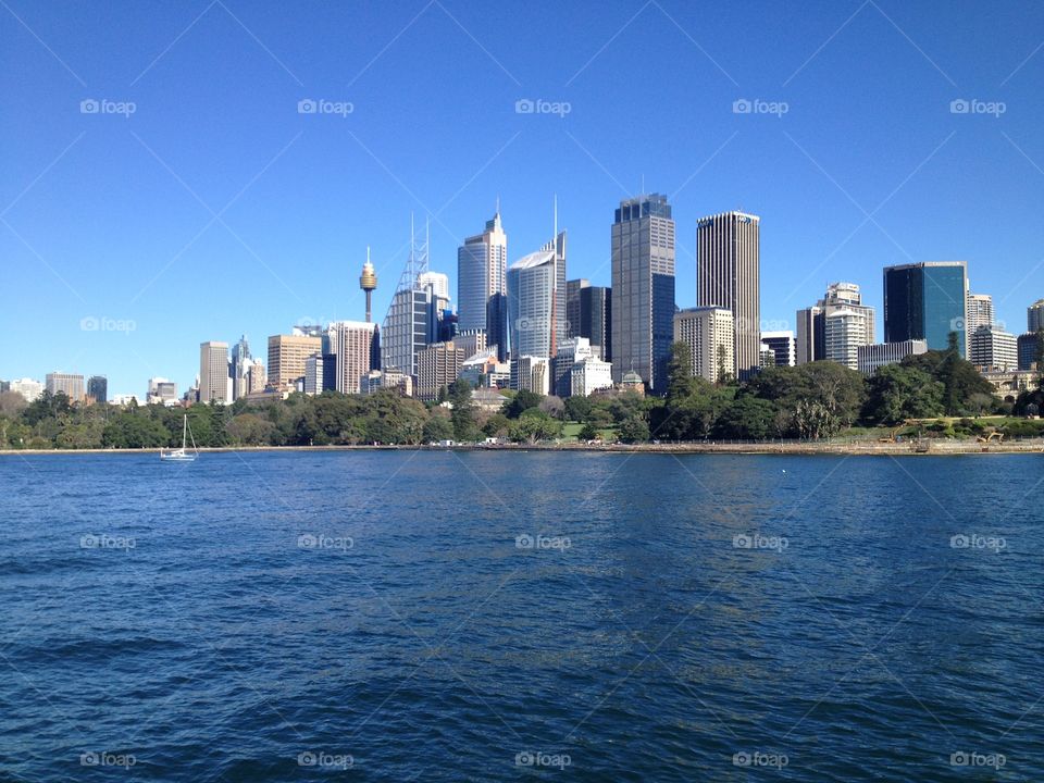 Sydney skyline from the water