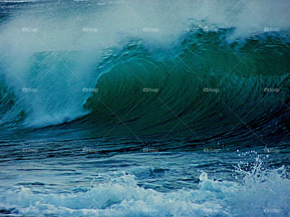 Waves at Makaha Winter 2014