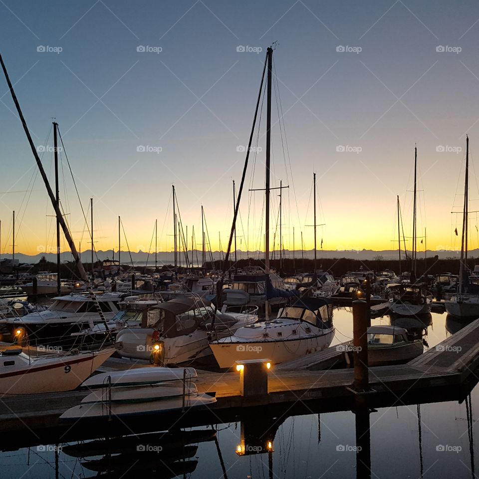 marina at sunset