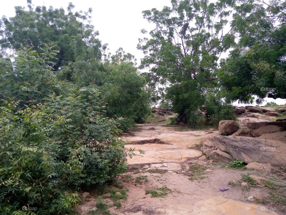 this is bobini village of guyuk local government of Adamawa Nigeria, the village is surrounded by rocks. the trees snapped are along the way to the outskirts of the village by the south leading to the cemetery.
