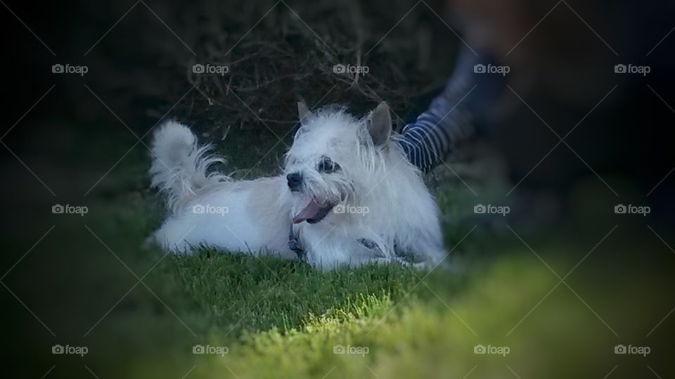 My best friend forever