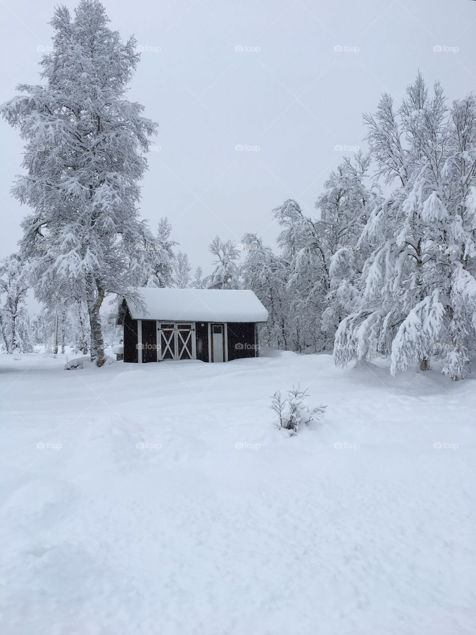 House in snowy landscape. 