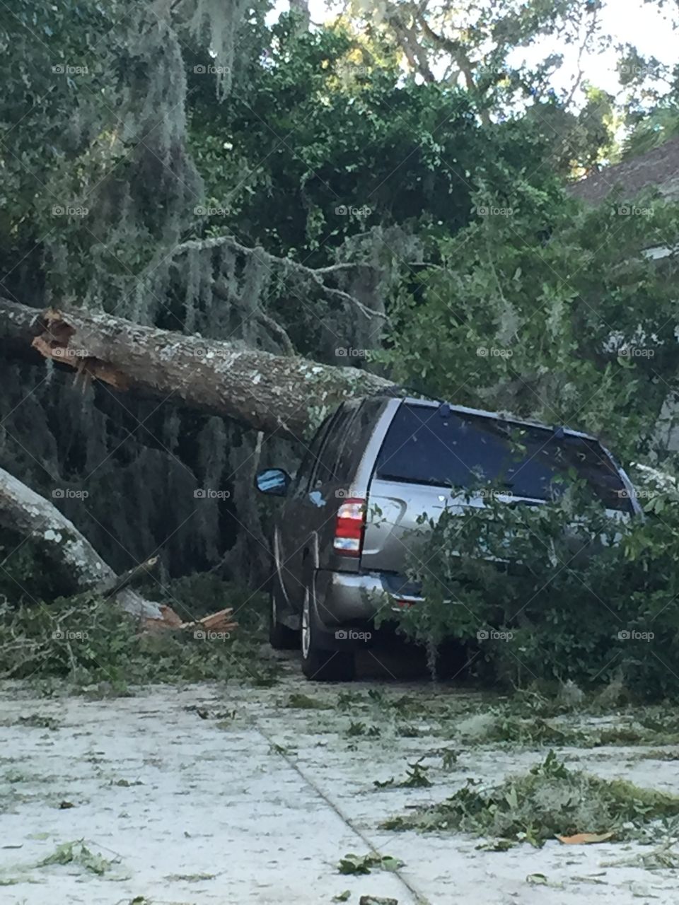 This car was damaged by a tree which fell during hurricane Matthew, in the Volusia County neighborhood of Ormond Beach, Florida.