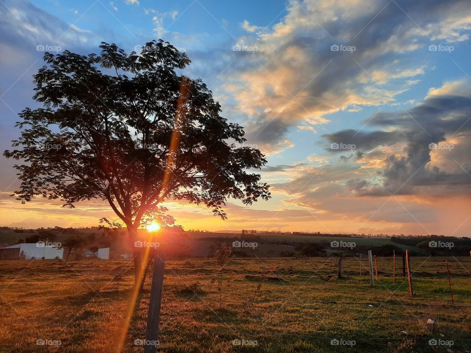 you say goodbye and i say hello!!