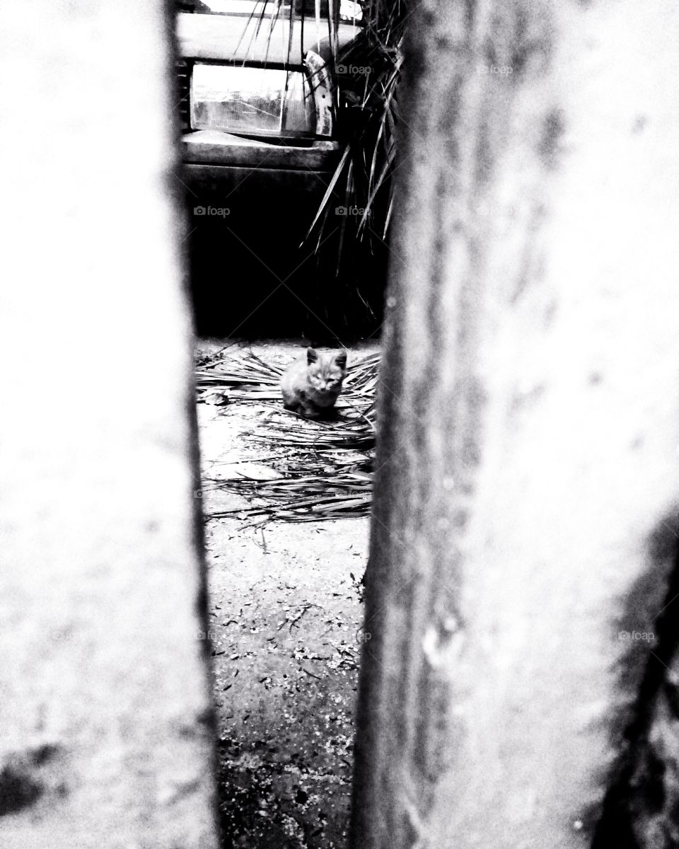 Resilienza in ogni posto soprattutto in questi