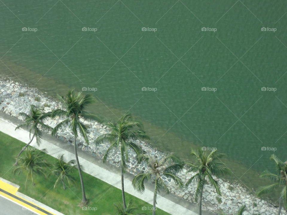 Aerial view of a sea
